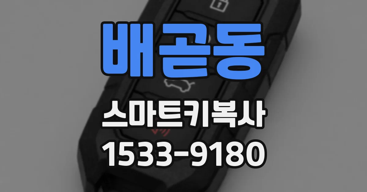 배곧동 스마트키복사