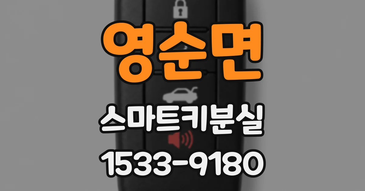 영순면 스마트키분실