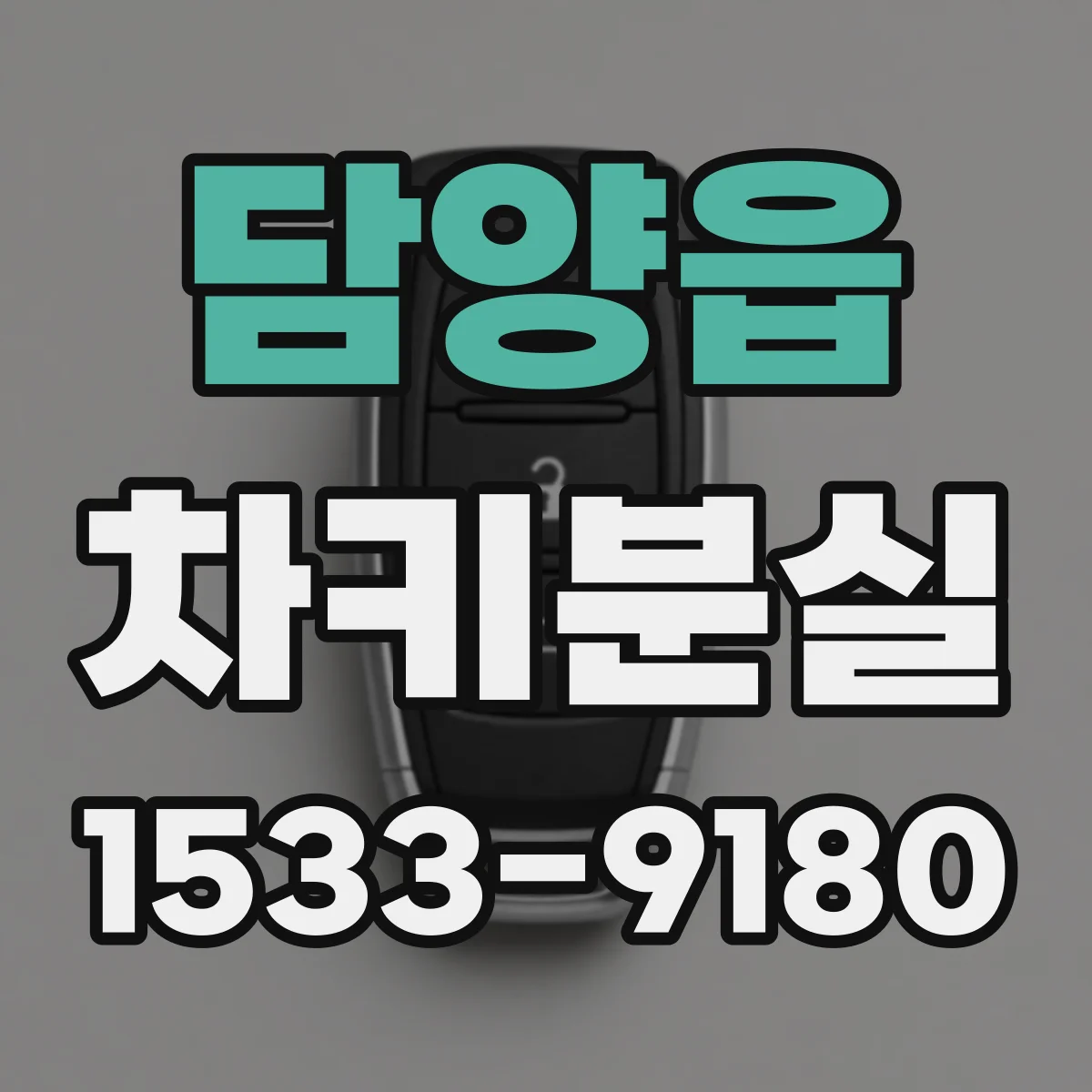 담양읍 차키분실