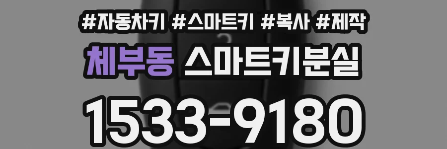 체부동 스마트키분실