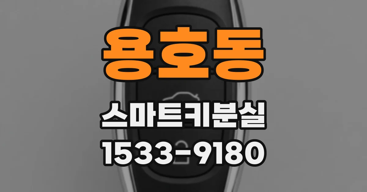 용호동 스마트키분실