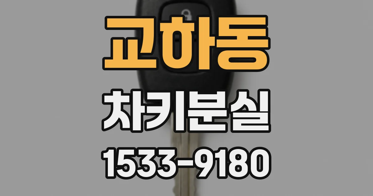 교하동 차키분실