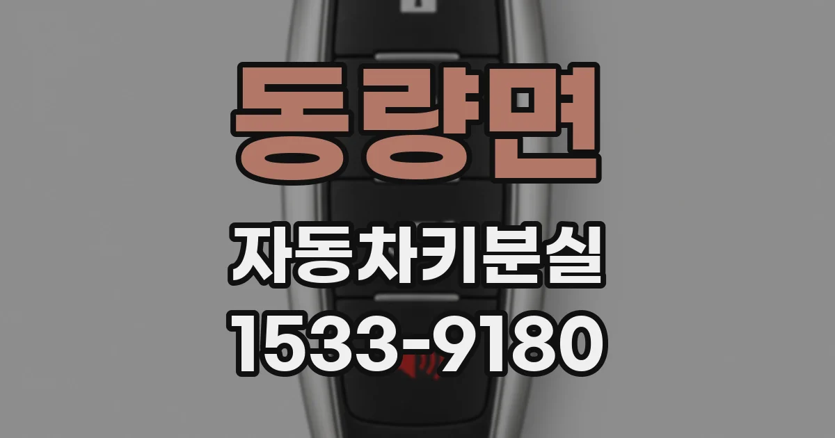동량면 자동차키분실