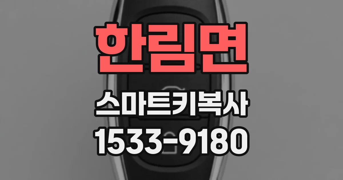 한림면 스마트키복사