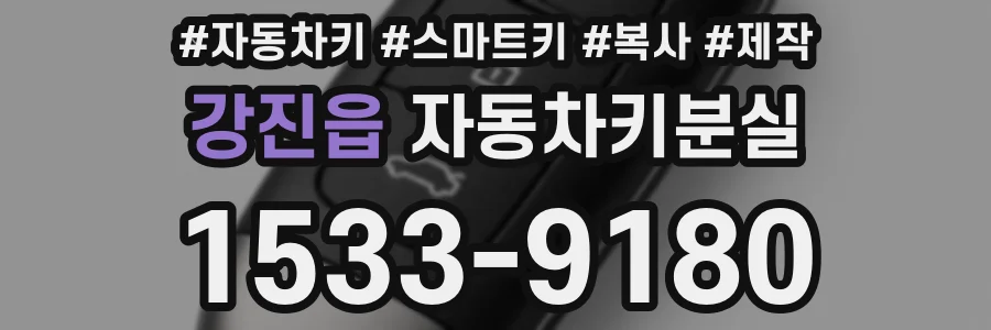 강진읍 자동차키분실