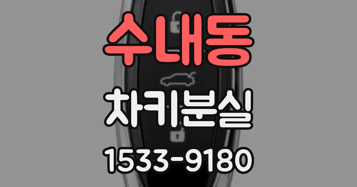 수내동 차키분실
