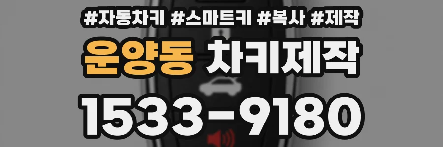 운양동 차키제작