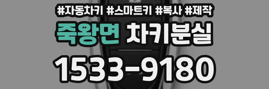 죽왕면 차키분실