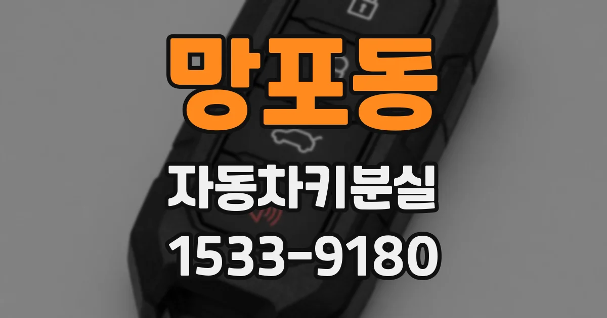 망포동 자동차키분실