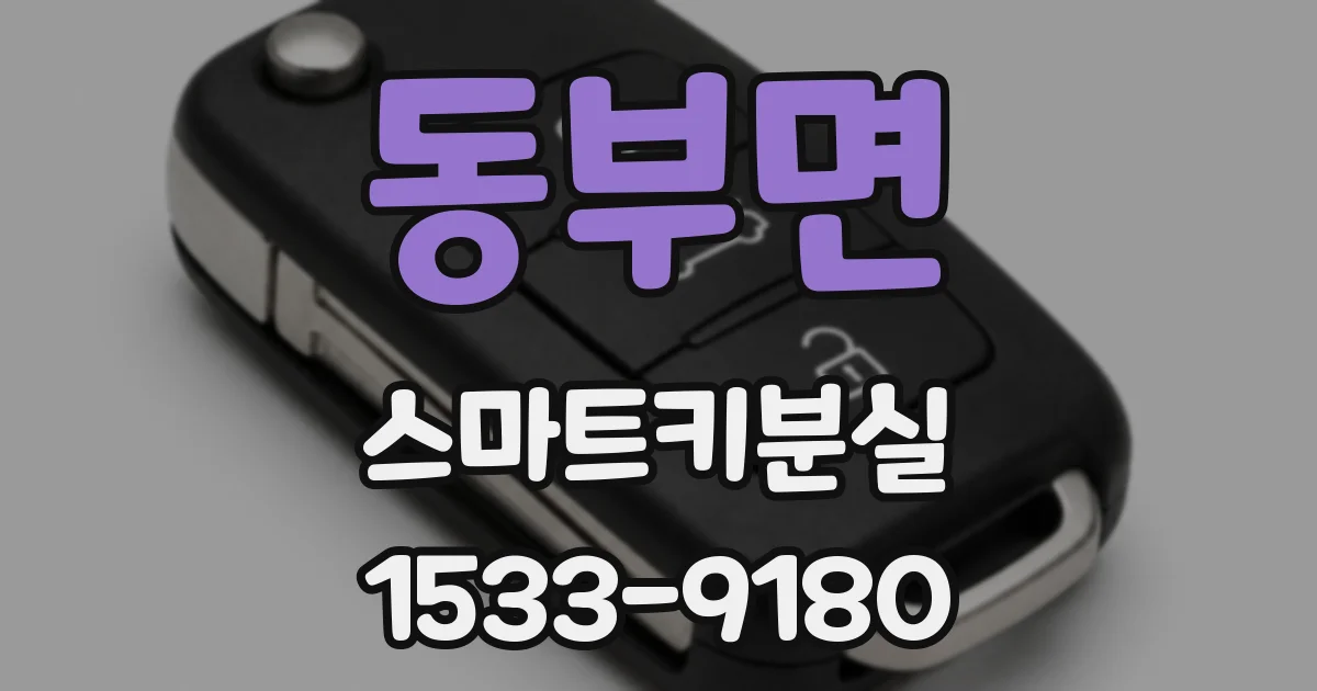 동부면 스마트키분실
