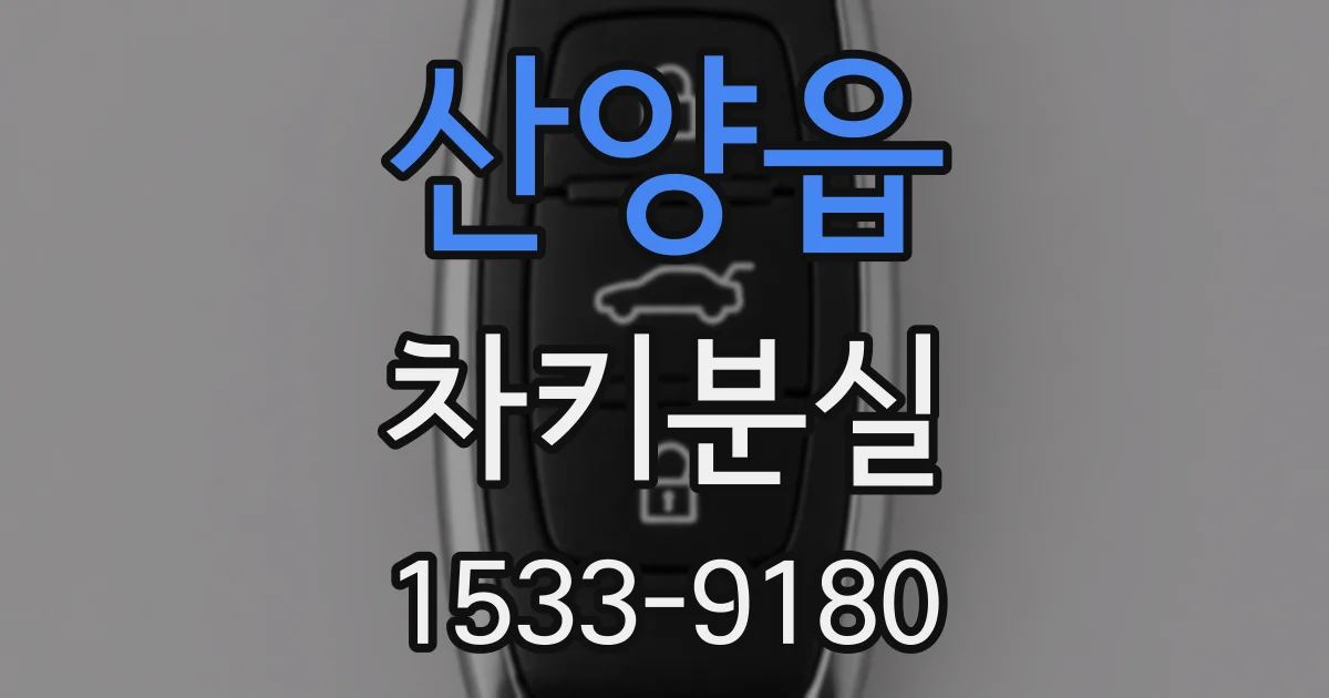 산양읍 차키분실
