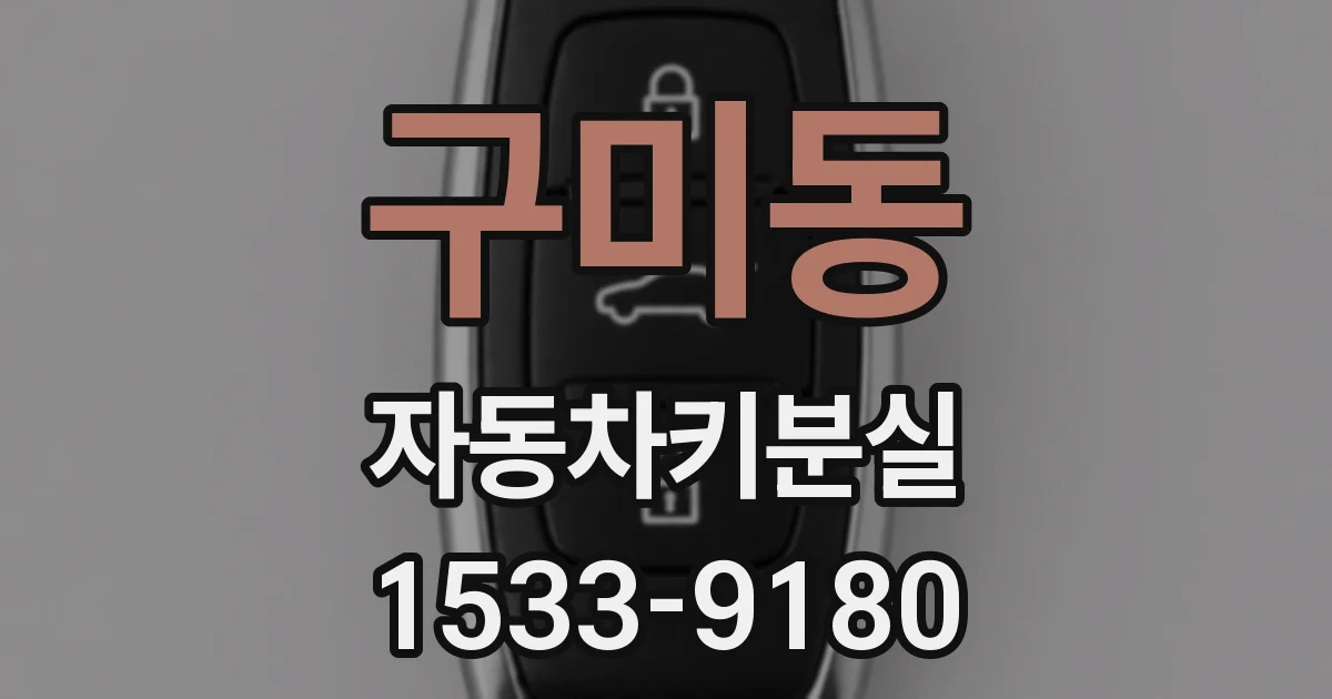 구미동 자동차키분실