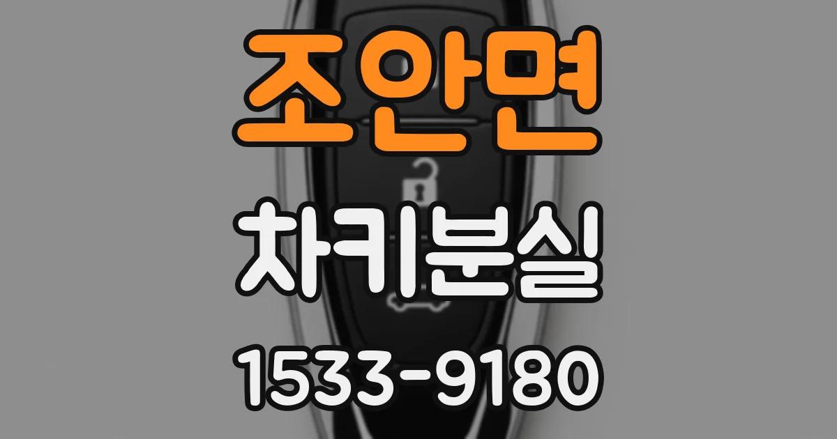 조안면 차키분실