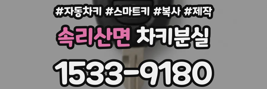 속리산면 차키분실