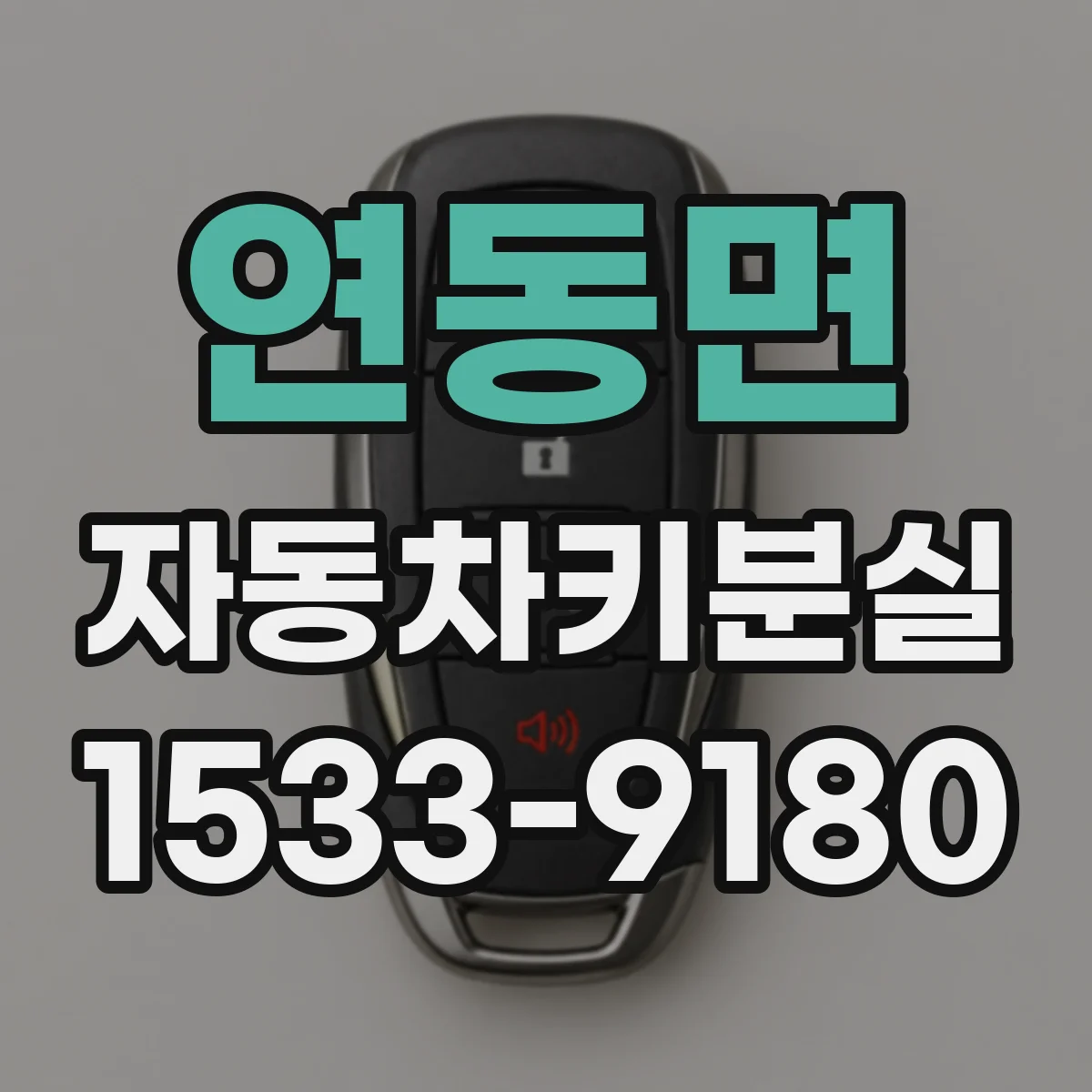 연동면 자동차키분실