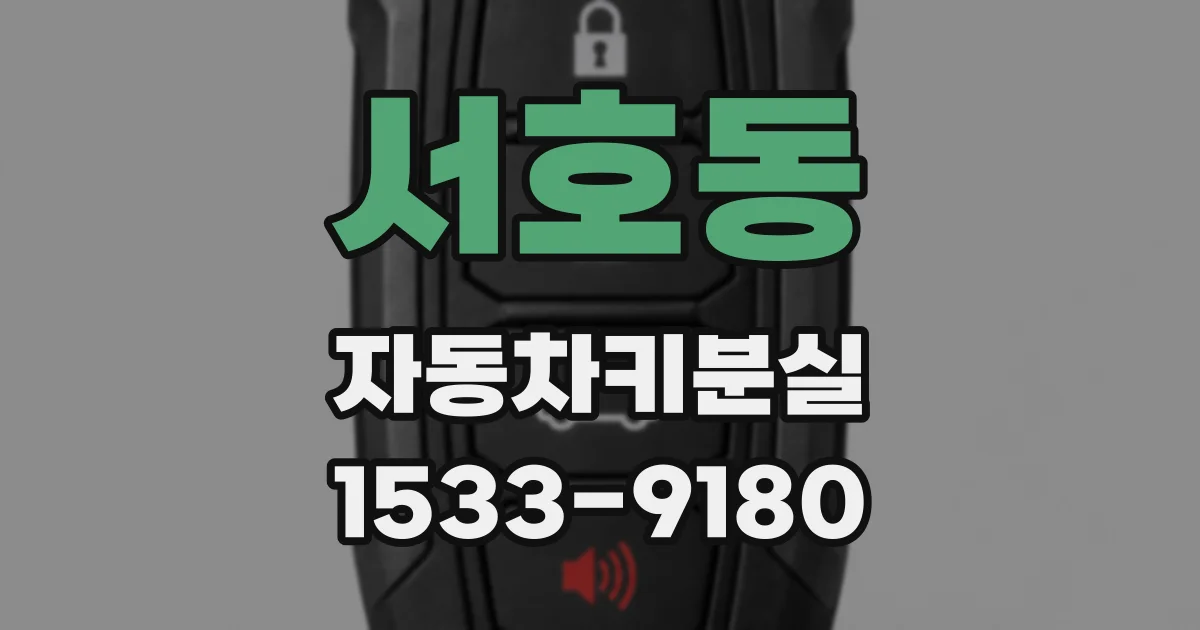 서호동 자동차키분실