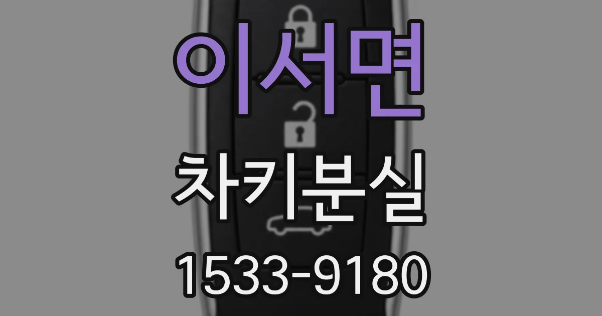 이서면 차키분실