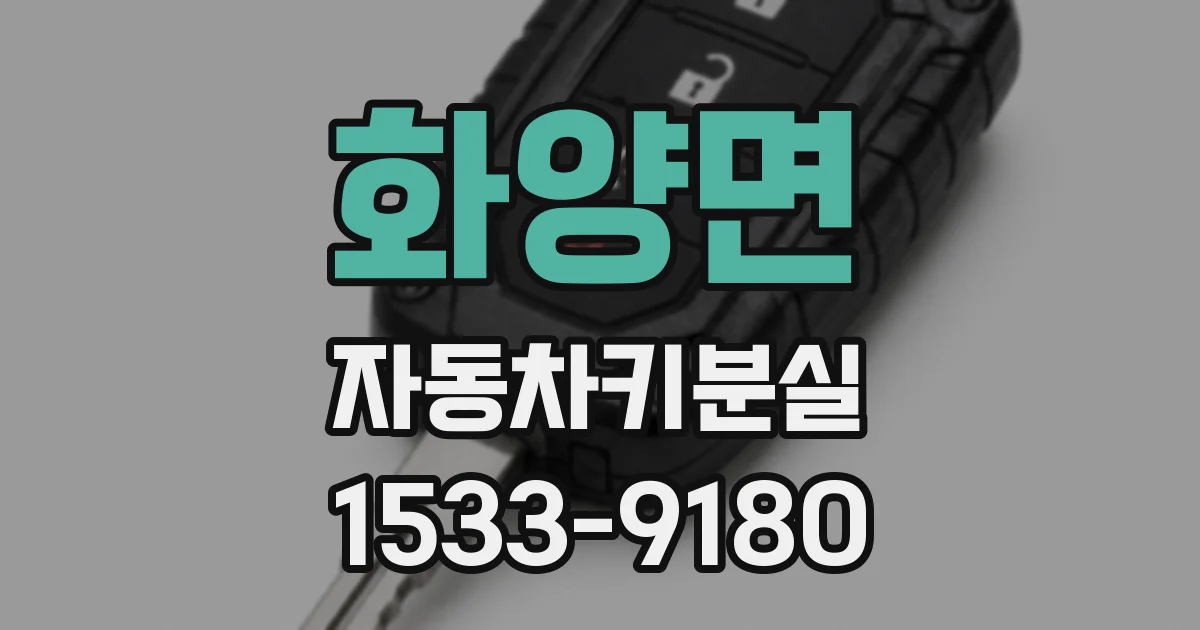 화양면 자동차키분실