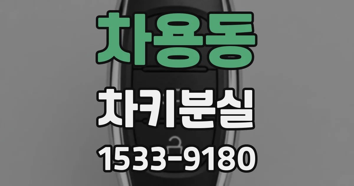 차용동 차키분실
