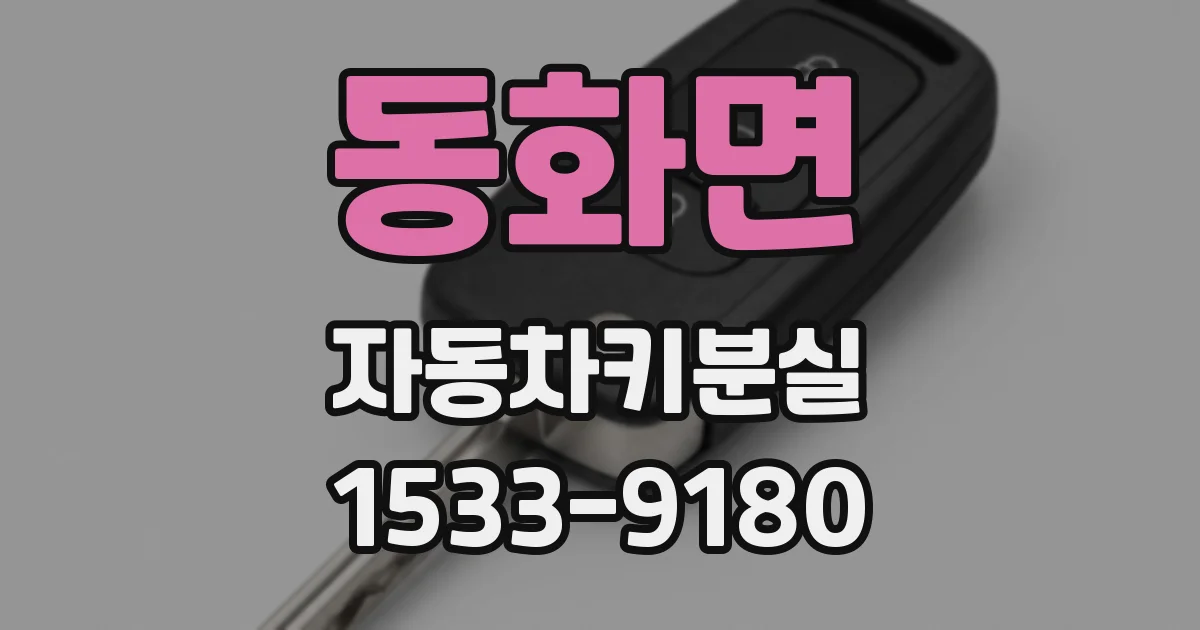 동화면 자동차키분실