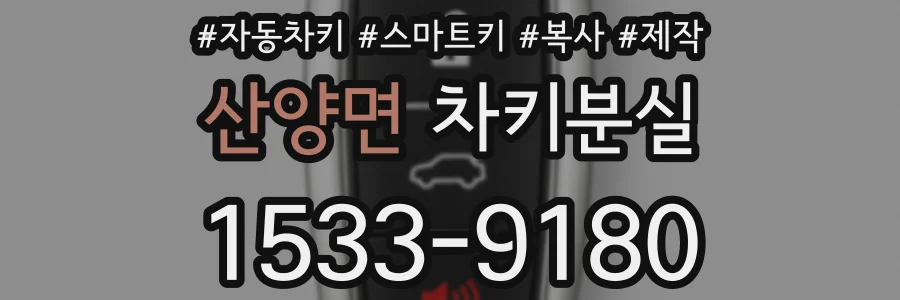 산양면 차키분실