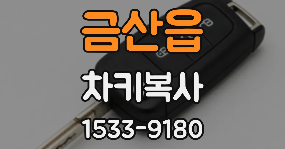 금산읍 차키복사