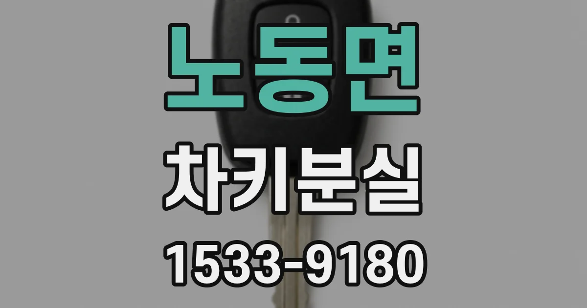 노동면 차키분실