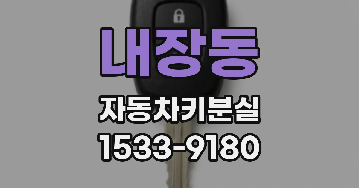 내장동 자동차키분실