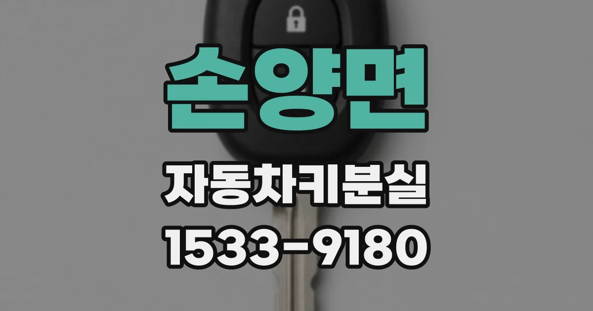 손양면 자동차키분실
