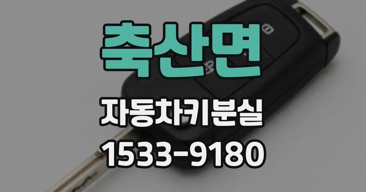 축산면 자동차키분실