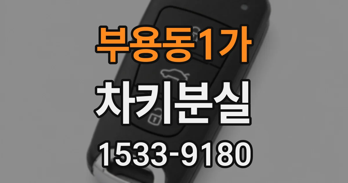 부용동1가 차키분실
