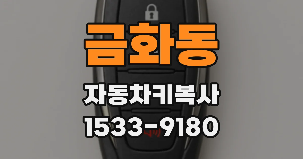 금화동 자동차키복사