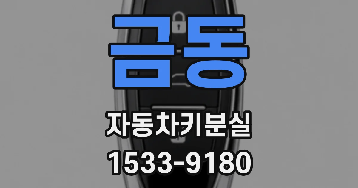 금동 자동차키분실