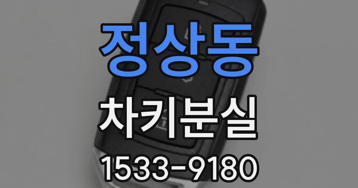 정상동 차키분실
