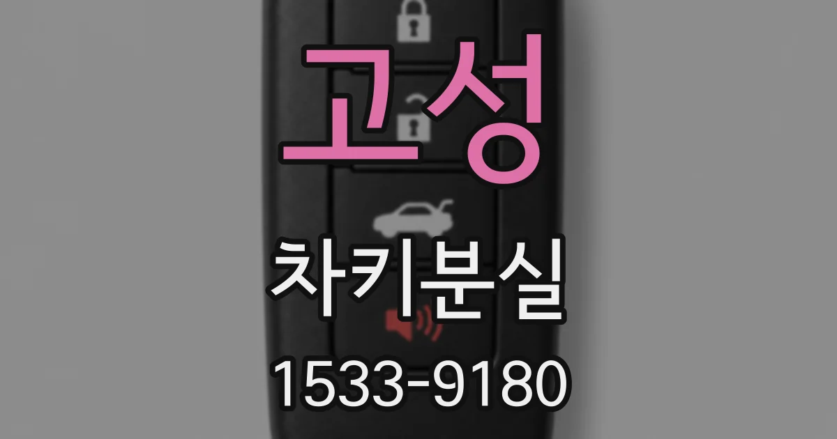고성 차키분실