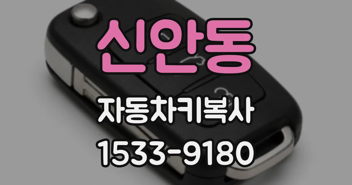 신안동 자동차키복사