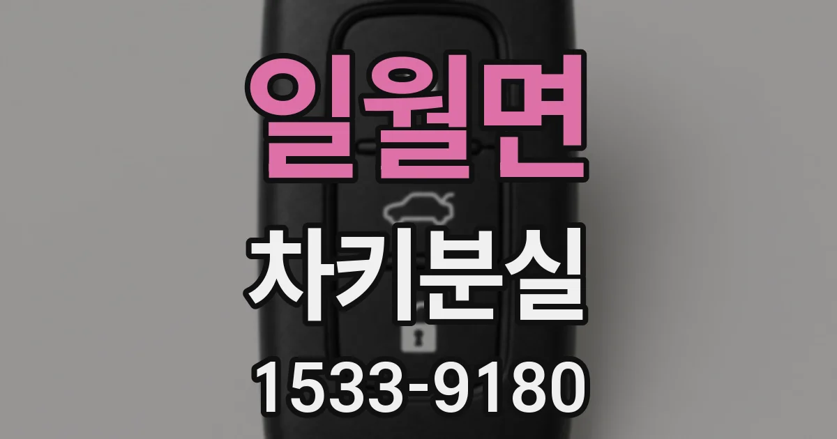 일월면 차키분실