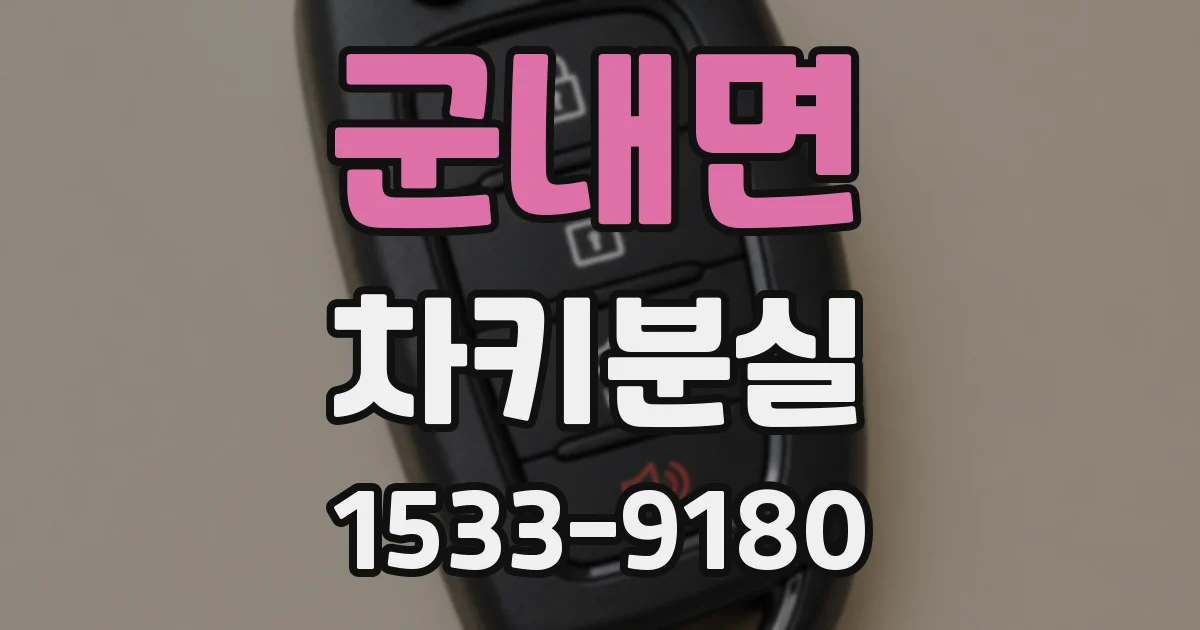 군내면 차키분실
