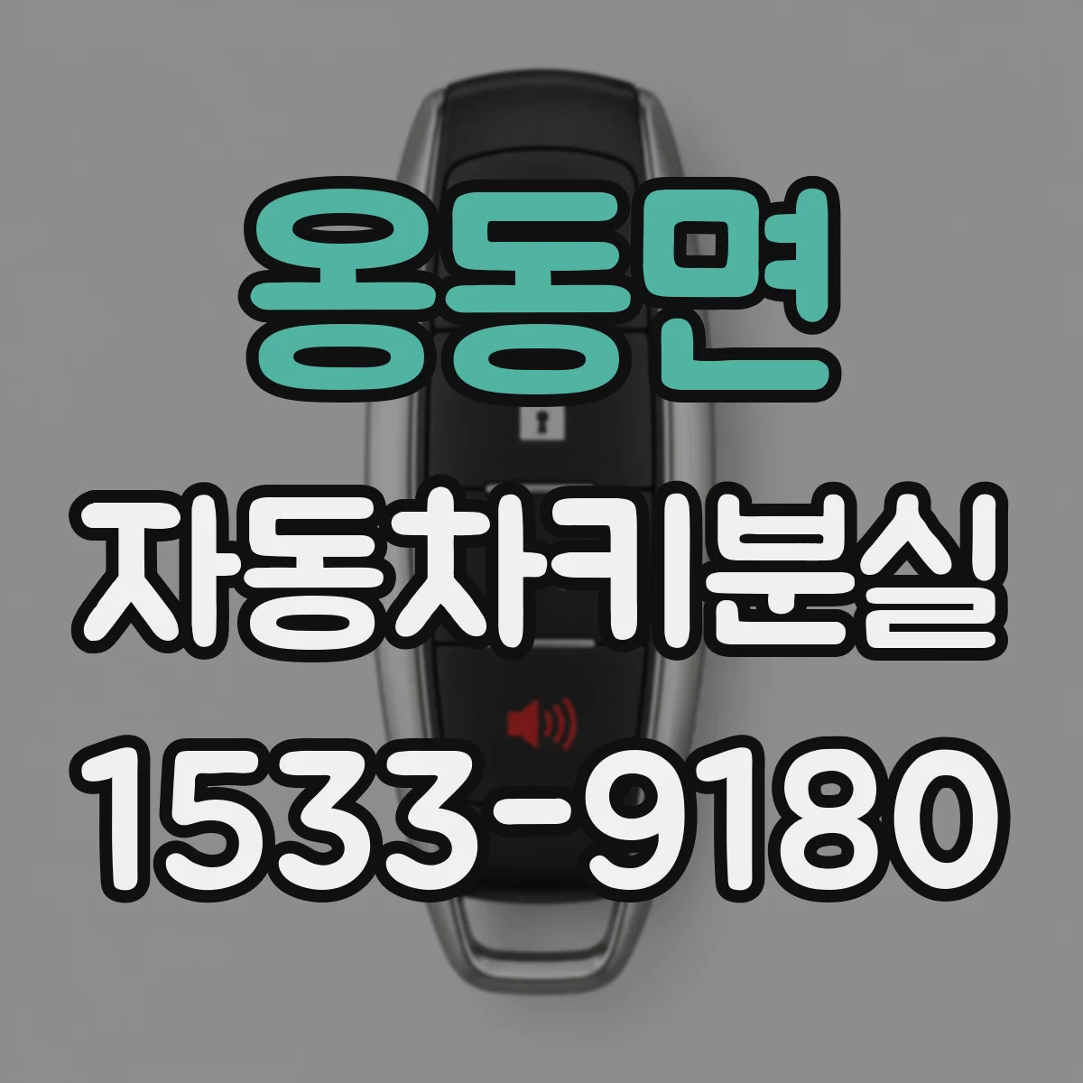 옹동면 자동차키분실