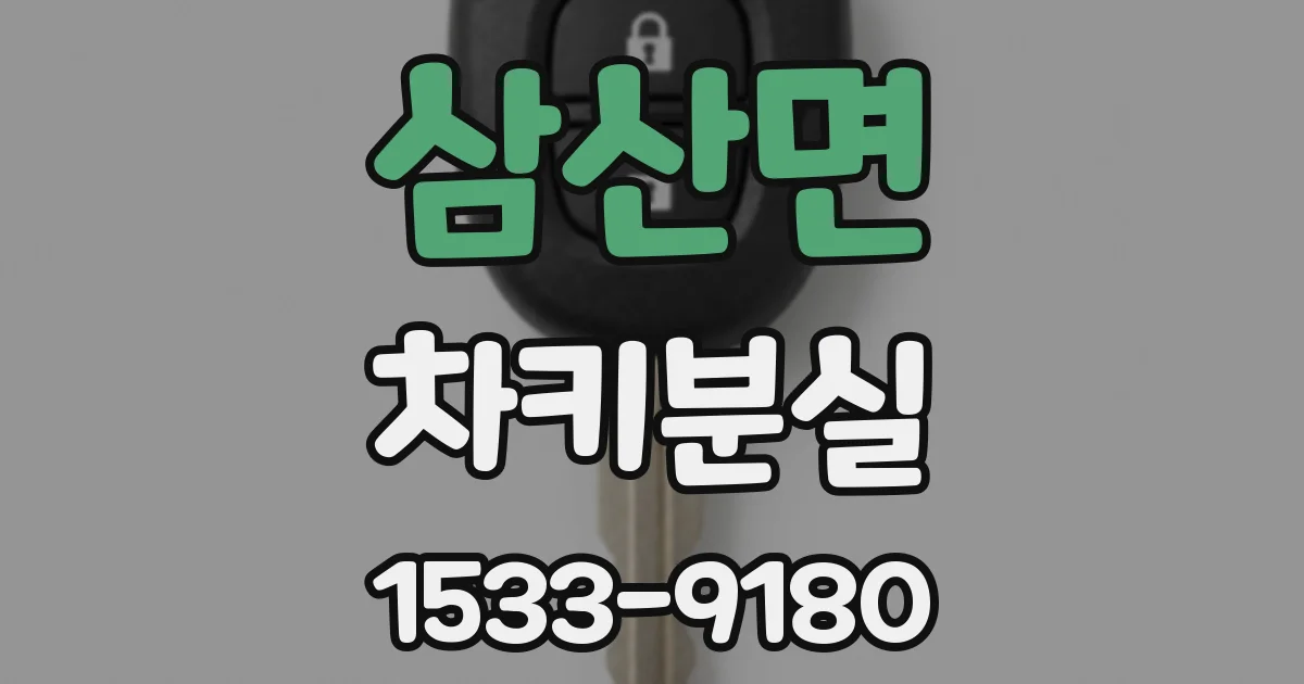 삼산면 차키분실
