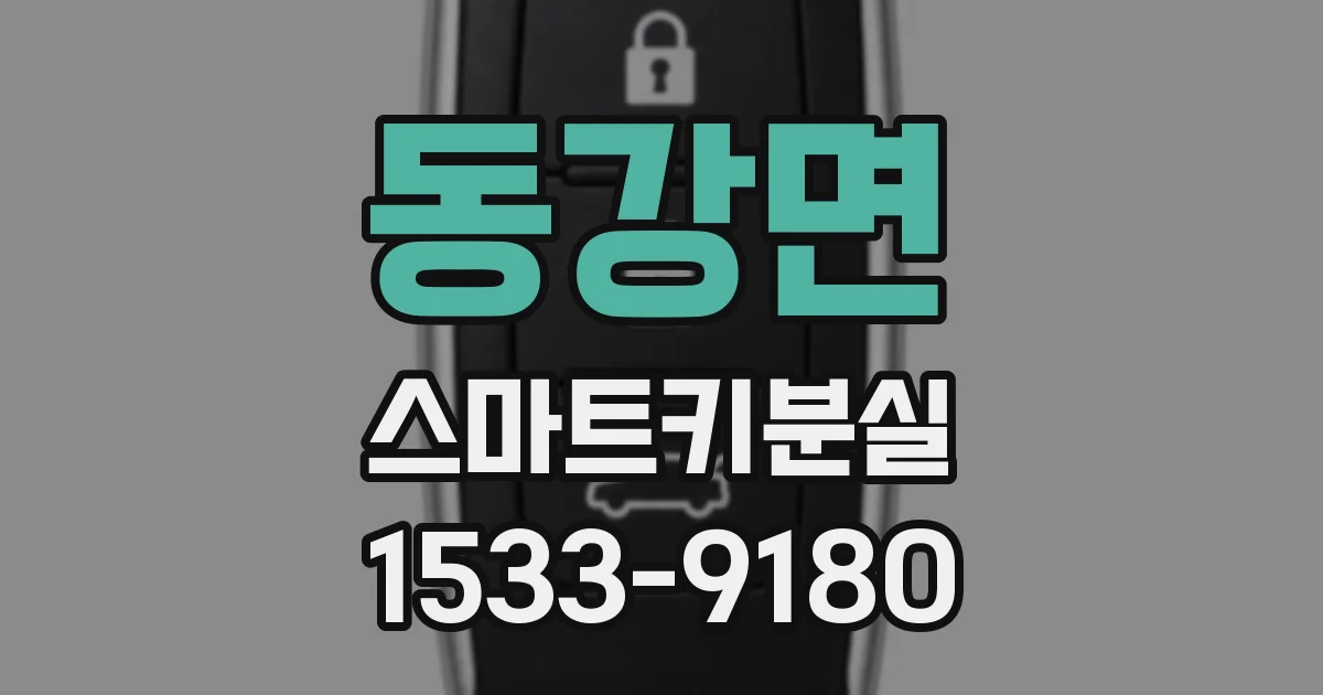 동강면 스마트키분실