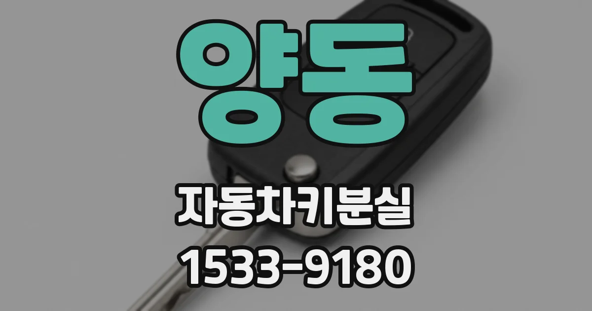 양동 자동차키분실