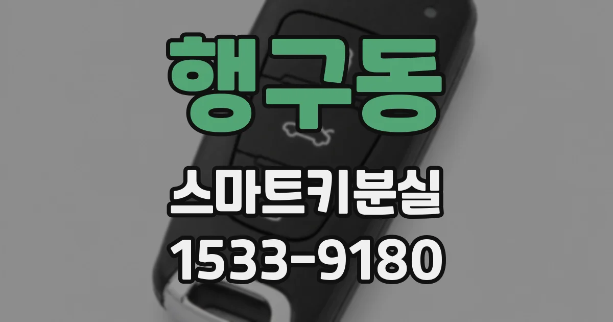 행구동 스마트키분실
