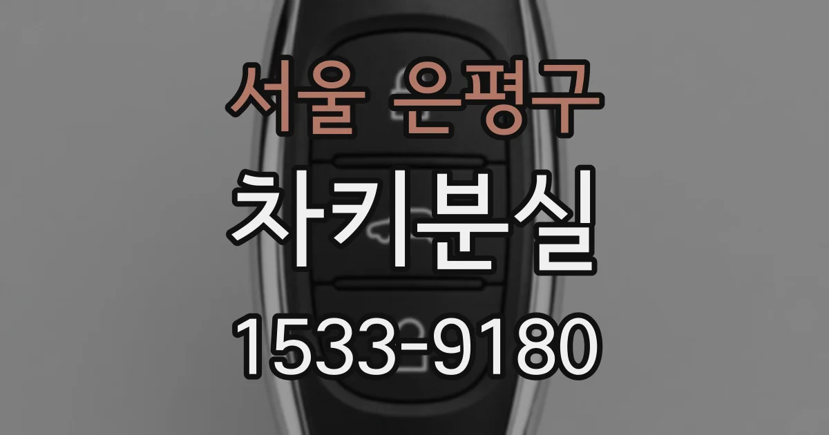 서울 은평구 차키분실