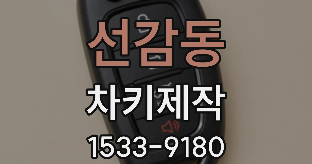 선감동 차키제작