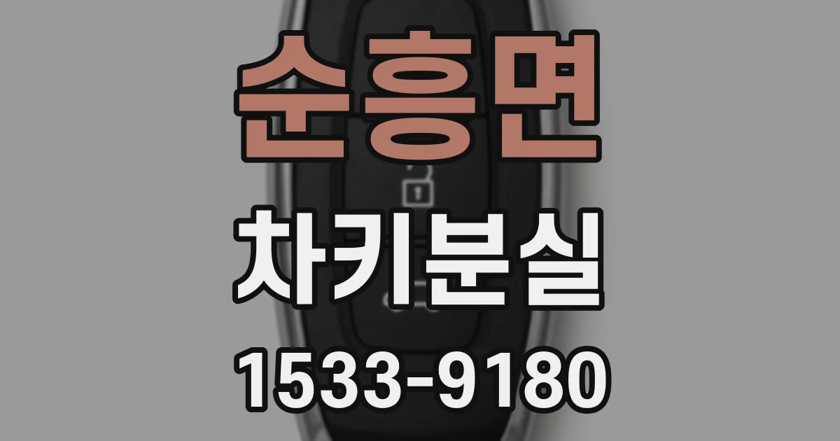 순흥면 차키분실