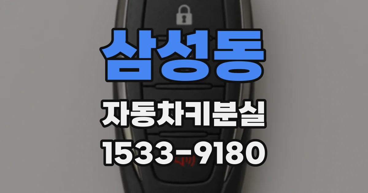 삼성동 자동차키분실