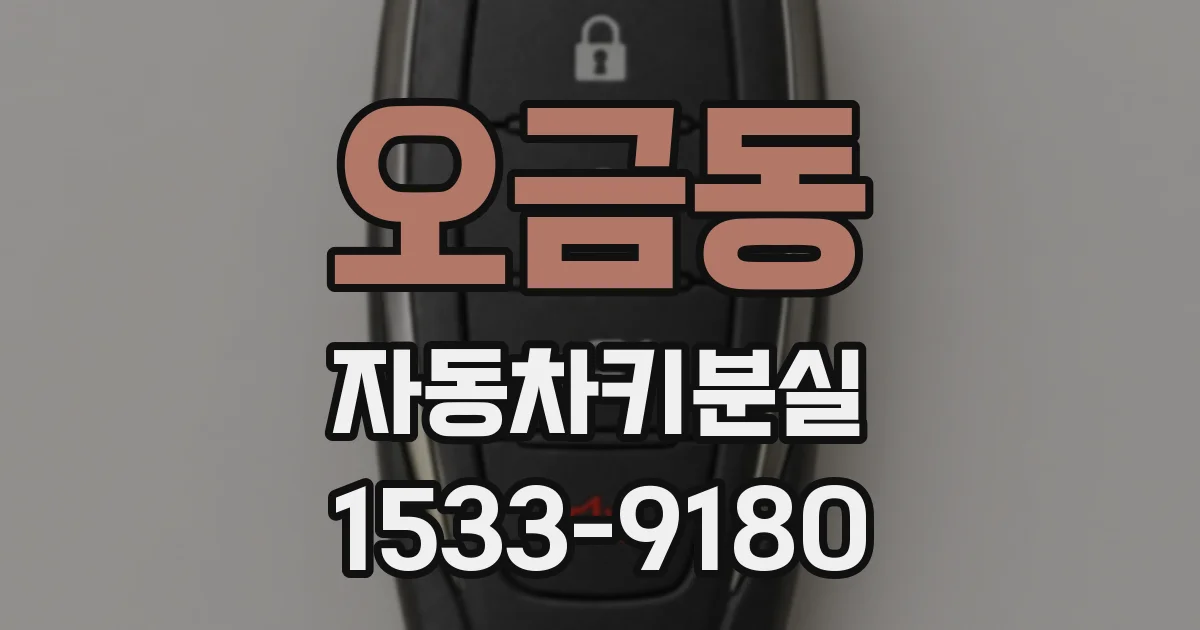 오금동 자동차키분실