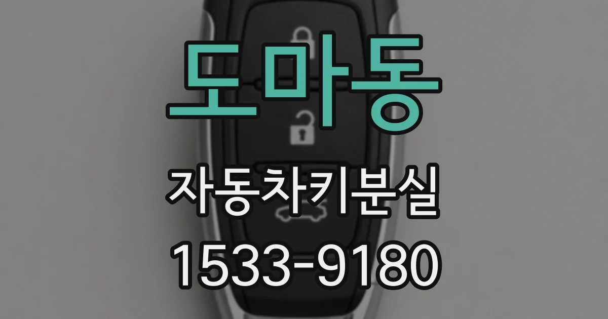 도마동 자동차키분실