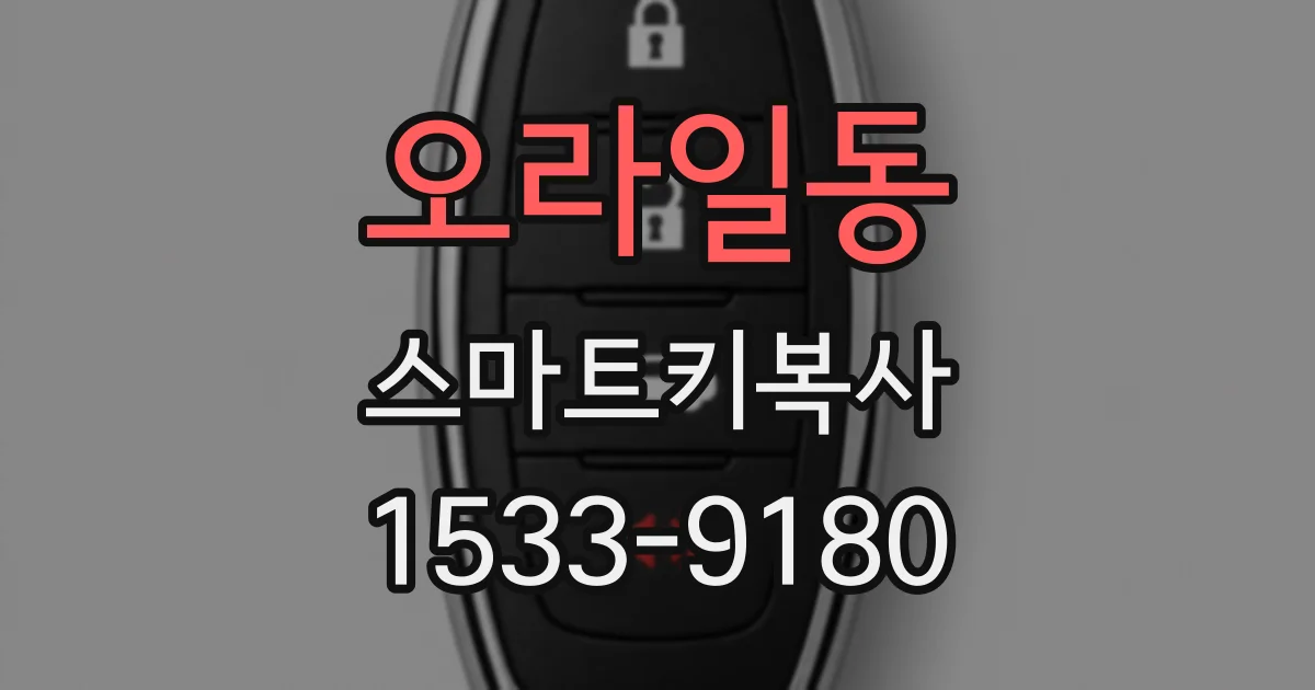 오라일동 스마트키복사